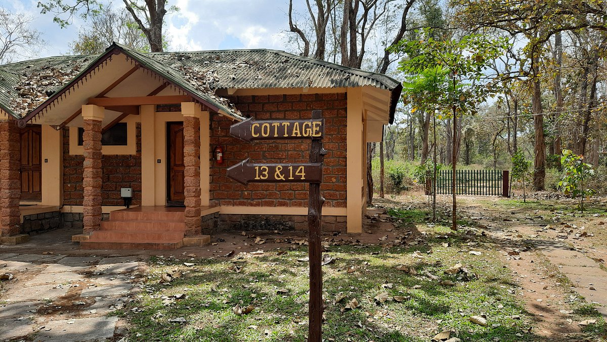 The Ultimate Guide To Dubare Elephant Camp Coorg Jungle Lodges Resorts