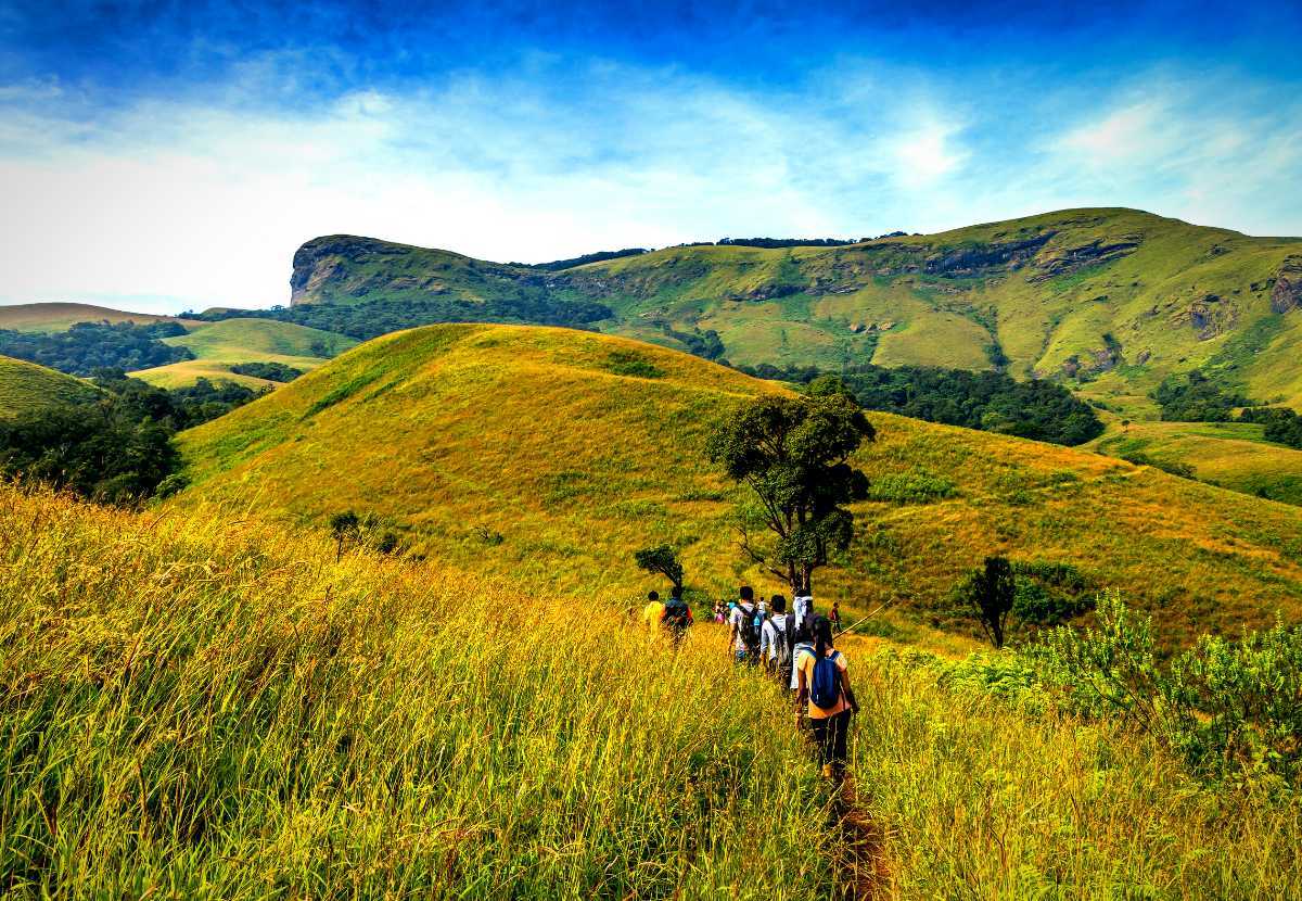 Kudremukh Trek Guide: Best Trails, Stay & Tips | Jungle Lodges and Resorts