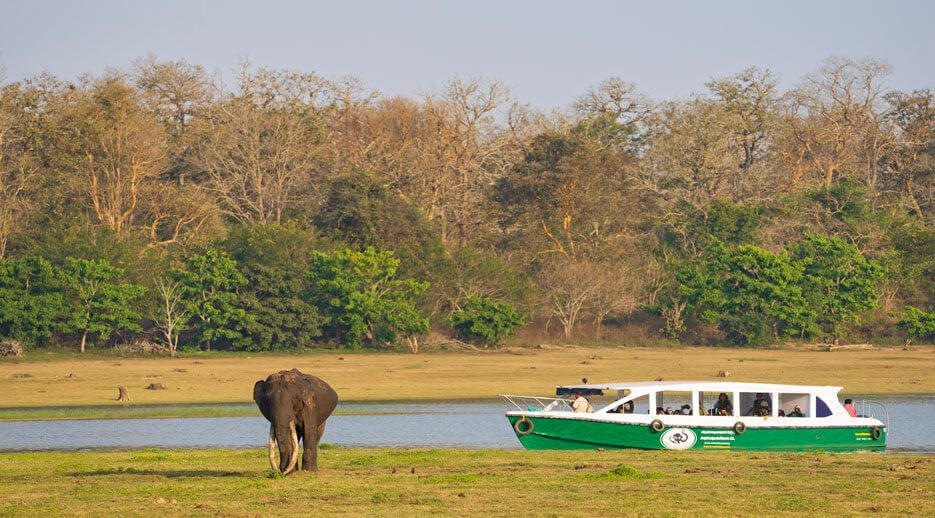 Boat Safari, Kabini River, Nagarhole National Park