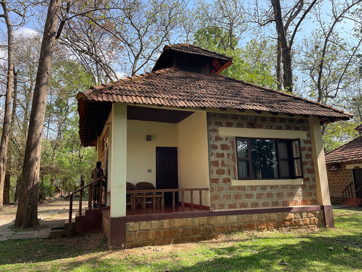 dubare elephant camp river view cottage