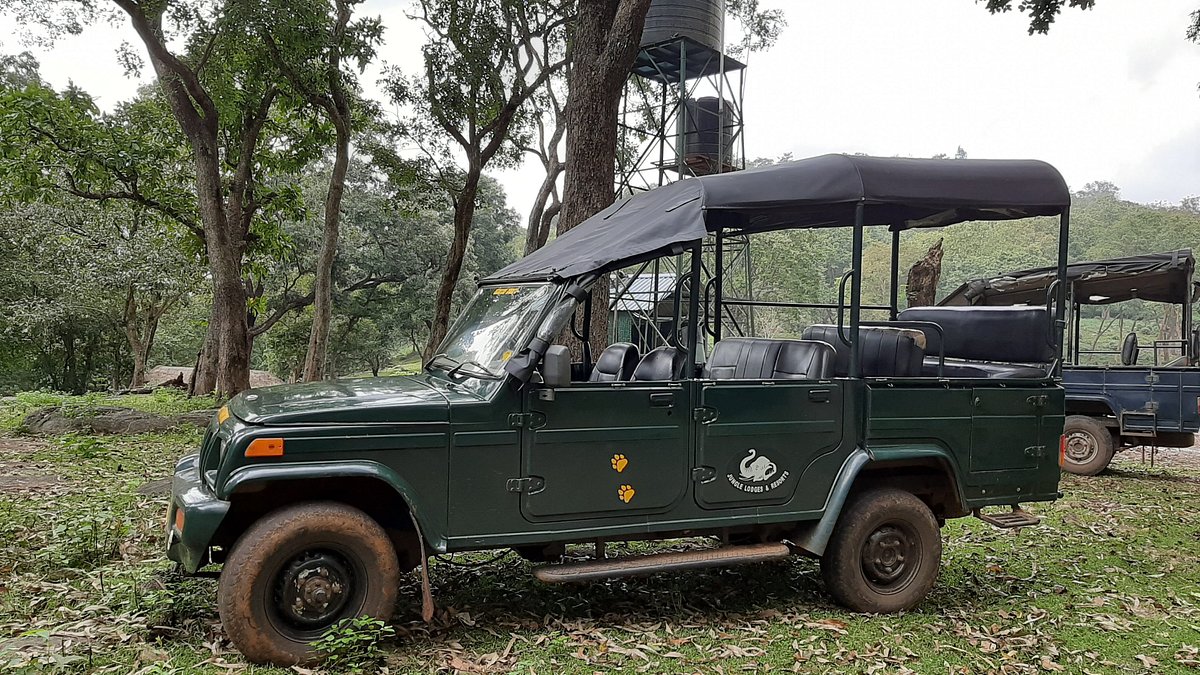 K Gudi Wilderness Camp, Safari jeep