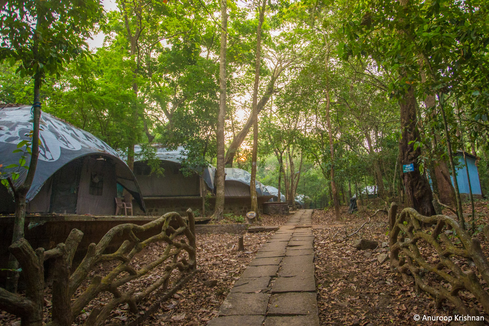 seethandi nature camp